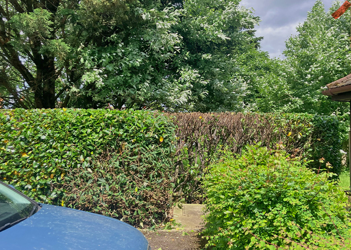 Mixed Hedge Maintenance