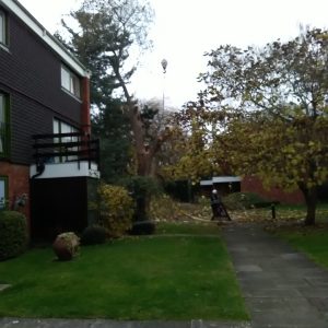 removal6